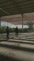 两名男子在户外驾驶小型无人机[免费商用竖屏]