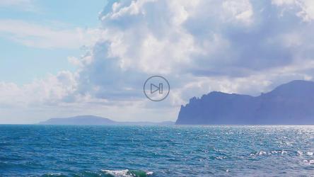 海浪在海里荡漾[]