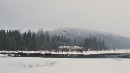 寒冷多雪的森林的开放环境[免费商用]