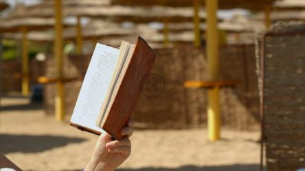 母亲在海滩上读书[]