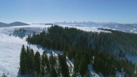 白雪皑皑的山上的绿松树[4K]