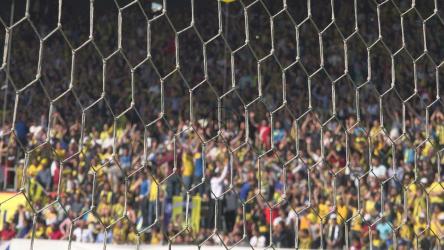 人群在体育场欢呼[4K]