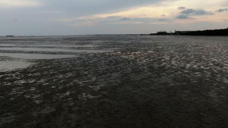 阴天在湿地泛舟[]