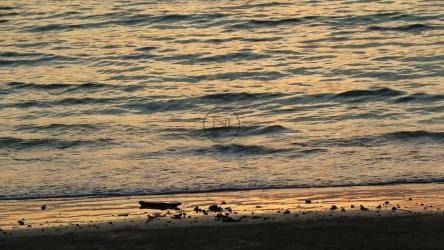 海浪反射着平静的日落[]