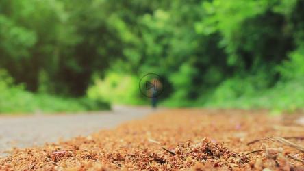 在大自然中独自行走的人[]