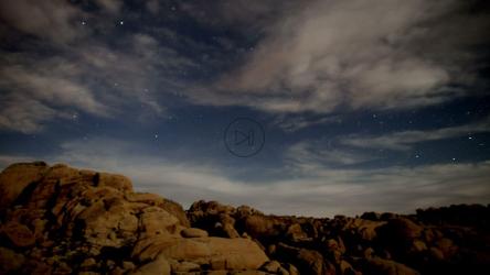 Landscape of a Joshua tree desert at night[]