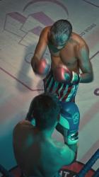 从拳击场顶部观看[免费商用竖屏]