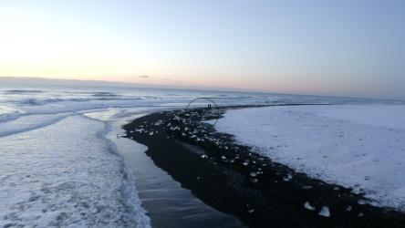 在白雪皑皑的冬季海滩的海滨旅行[4K]