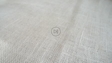 南瓜籽掉落在桌布上，演示[]