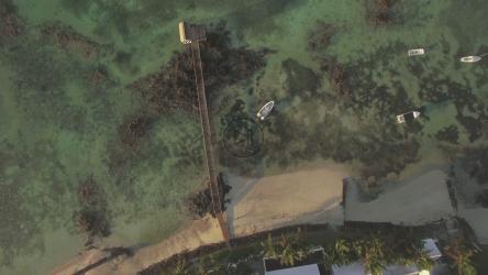 Boats in shallow water[]