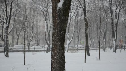 City park covered in heavy snow[]
