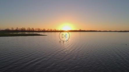 日落时飞越湖面[]