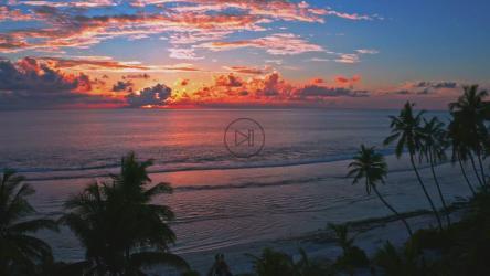 海滩上明亮的橙色日落[免费商用]