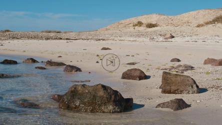 中午时分，宁静和清澈的海水冲刷着沙漠岸边，背景是堆积如山的沙子。[免费商用]