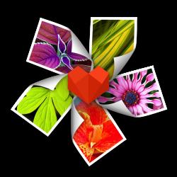 图形设计ArcSoft Photo+3.0.90138