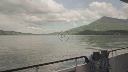 Boat sailing along the river[免费商用]