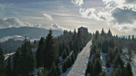 冬天在山上松树间的小路[4K]