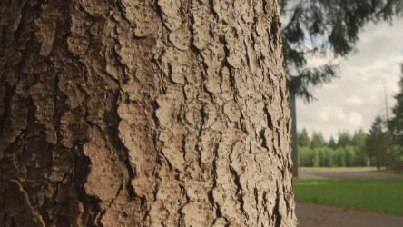 Nature property with a large cellar[免费商用]