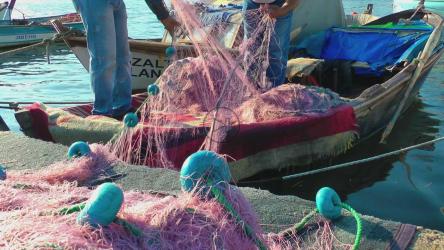 准备钓鱼用的网[]