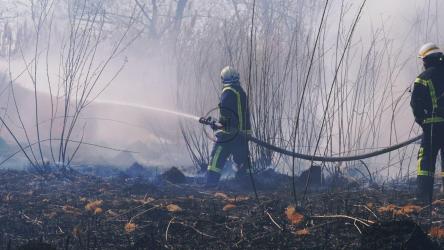 消防员在树林里泼水[4K]