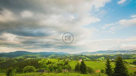 大草地上的静态拍摄[4K]