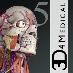 人体解剖学软件Essential Anatomy5.0