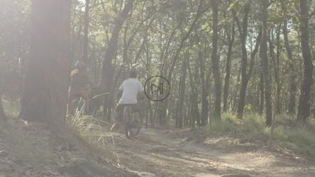 一对山地自行车手在森林里骑行[免费商用]