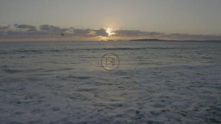 日落时飞越大海[免费商用]