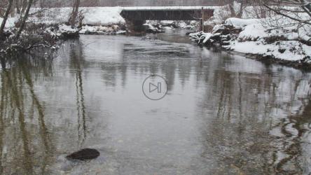 加拿大白雪皑皑的森林中的河流[免费商用]