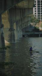 人们在城里的河里划船[免费商用竖屏]