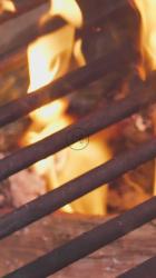 烧烤架内燃烧的火焰[免费商用竖屏]