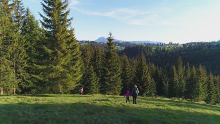 Family exploring the meadow[4K]