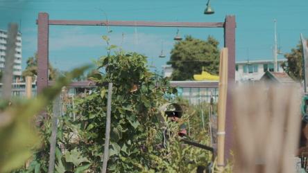 女孩走过苗圃[免费商用]