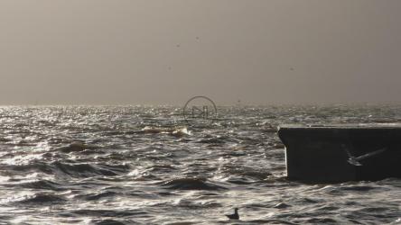 海浪冲击码头[]