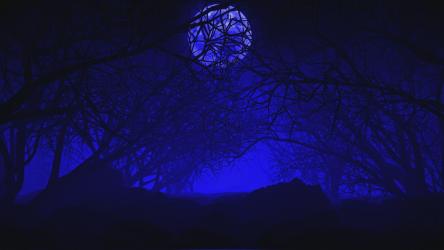 干燥树木的阴暗森林和月球数字之旅[4K]