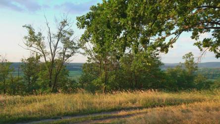 草地上的乡村公路[4K]