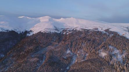 山顶积雪的森林山[4K]