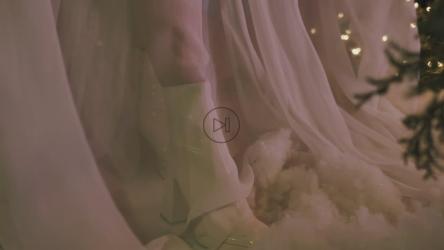 Veil of a girl's dress among Christmas trees[免费商用]