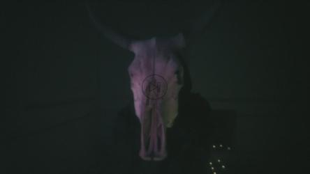 戴着兜帽的人用手走近一个公牛的头骨[免费商用]