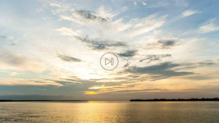 日落时划船比赛[]