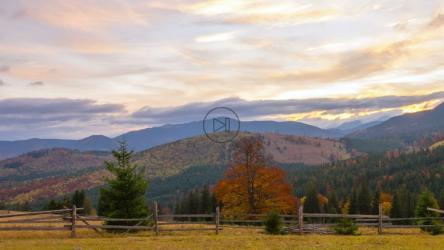 落日照耀着山林[]