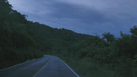 黄昏时在自然之路上旅行[4K免费商用]