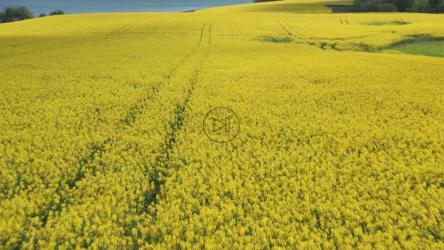 云阴影在场地上滚动[4K]