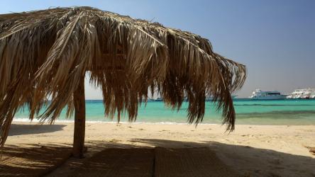 海滩上的棕榈伞[]