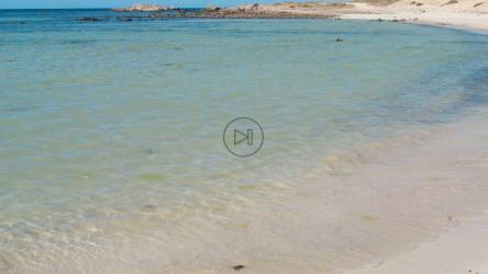 在太空任务控制中心工作的人员[4K]