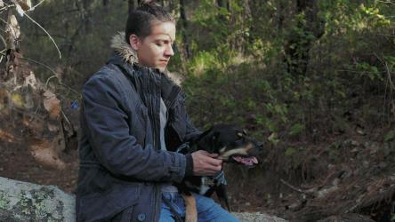 一个人在森林里抚摸他的狗[免费商用]