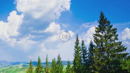 草地上蓝天上的巨大云朵[]