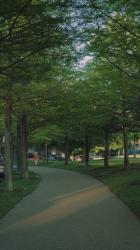 慢慢地走在公园的小路上[免费商用竖屏]