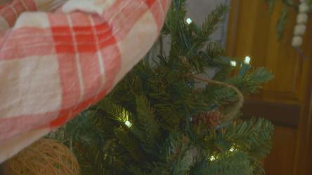 女孩把星星放在圣诞树上[免费商用]