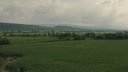 阴天收割田地[免费商用]